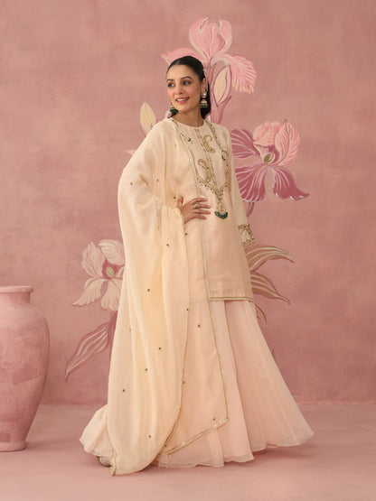 Mahira Light Pink Sharara