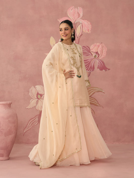 Mahira Light Pink Sharara