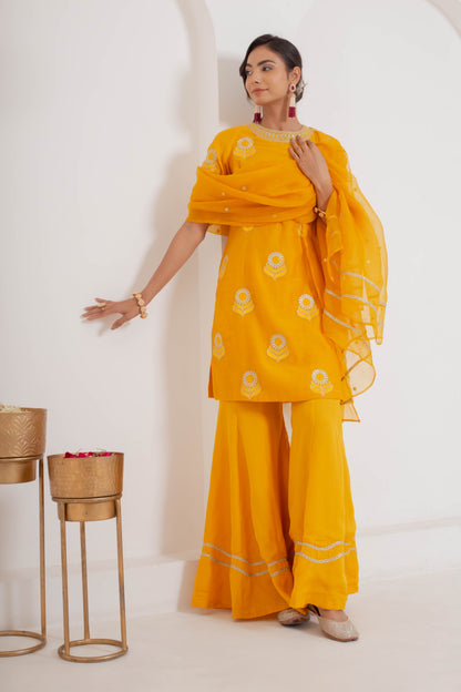 Ravya Sharara Kurta Set