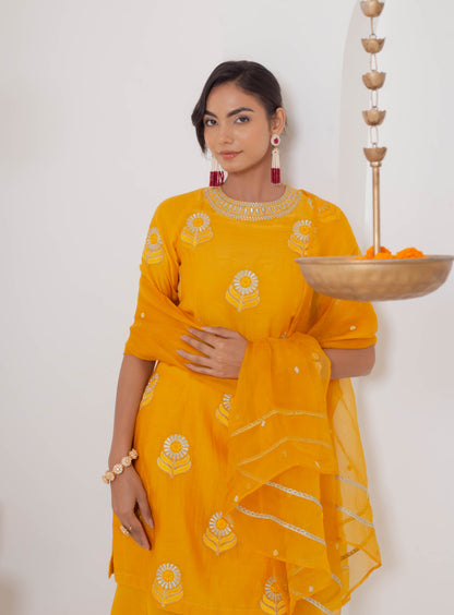 Ravya Sharara Kurta Set