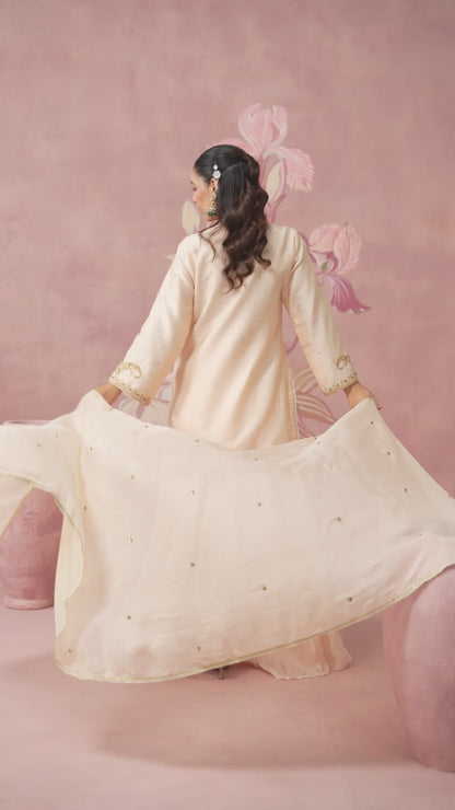 Mahira Light Pink Sharara
